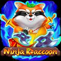 Ninja Raccoon